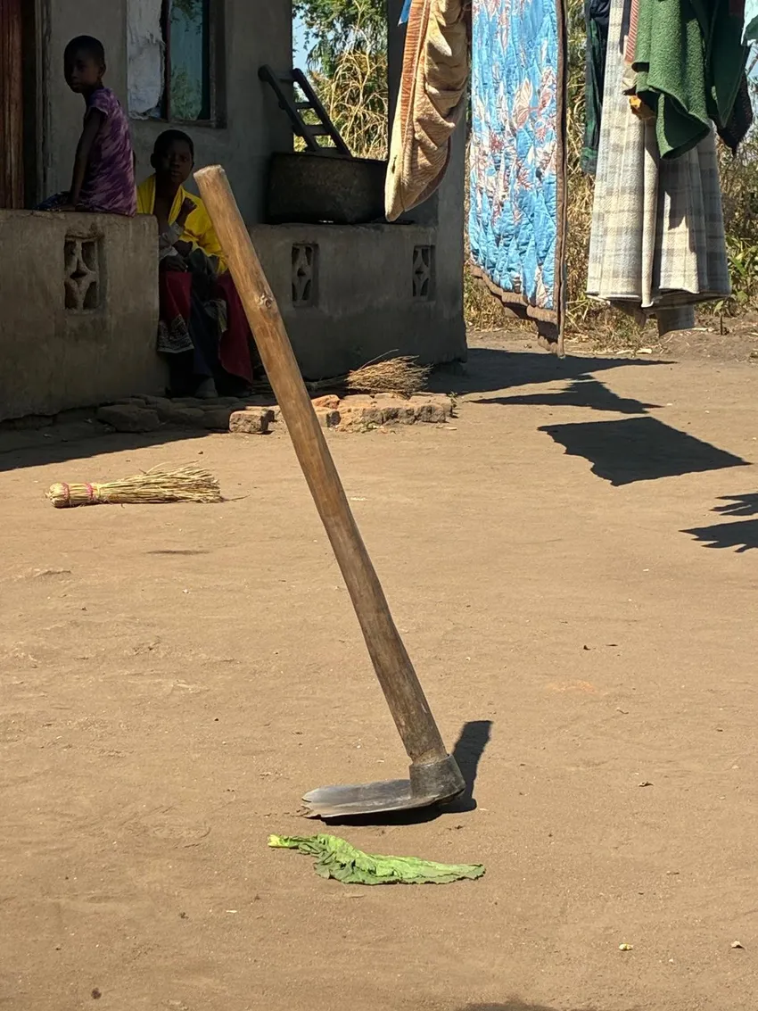 Hoe