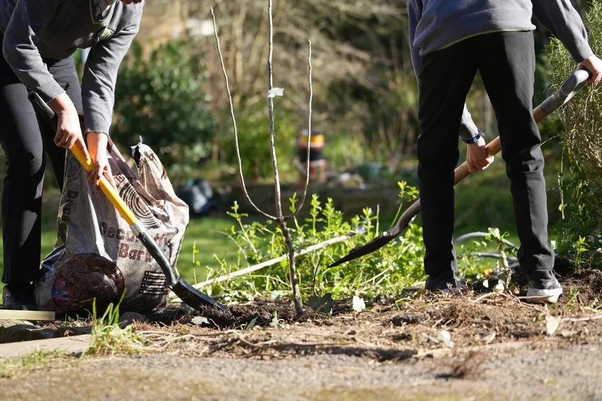 Two secondary school students plant a tree surrounded by greenery