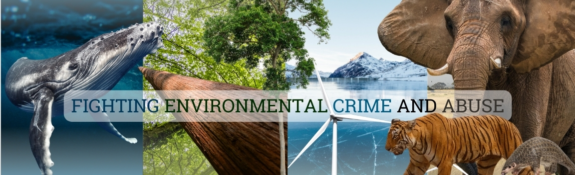 From evidence to action: protecting our planet – Big Give