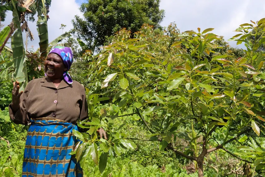 ITF, Kenya - woman next to a tree