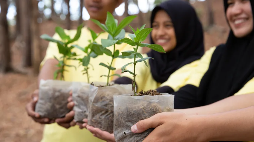PlantingHands