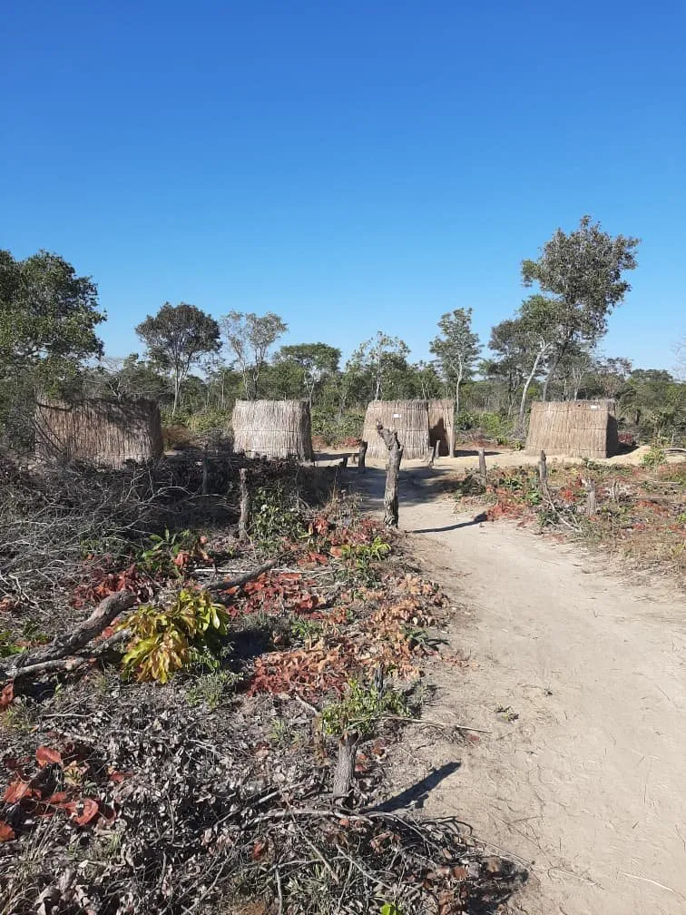 The current latrines for the girls.