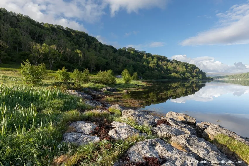 Scottish Rewilding Landscape