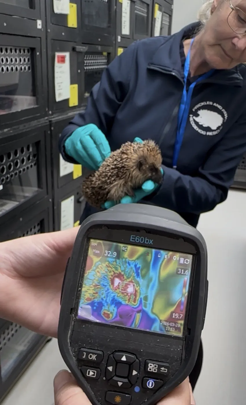 Using a FLIR infrared camera to assess eye surface temperature of a new admission