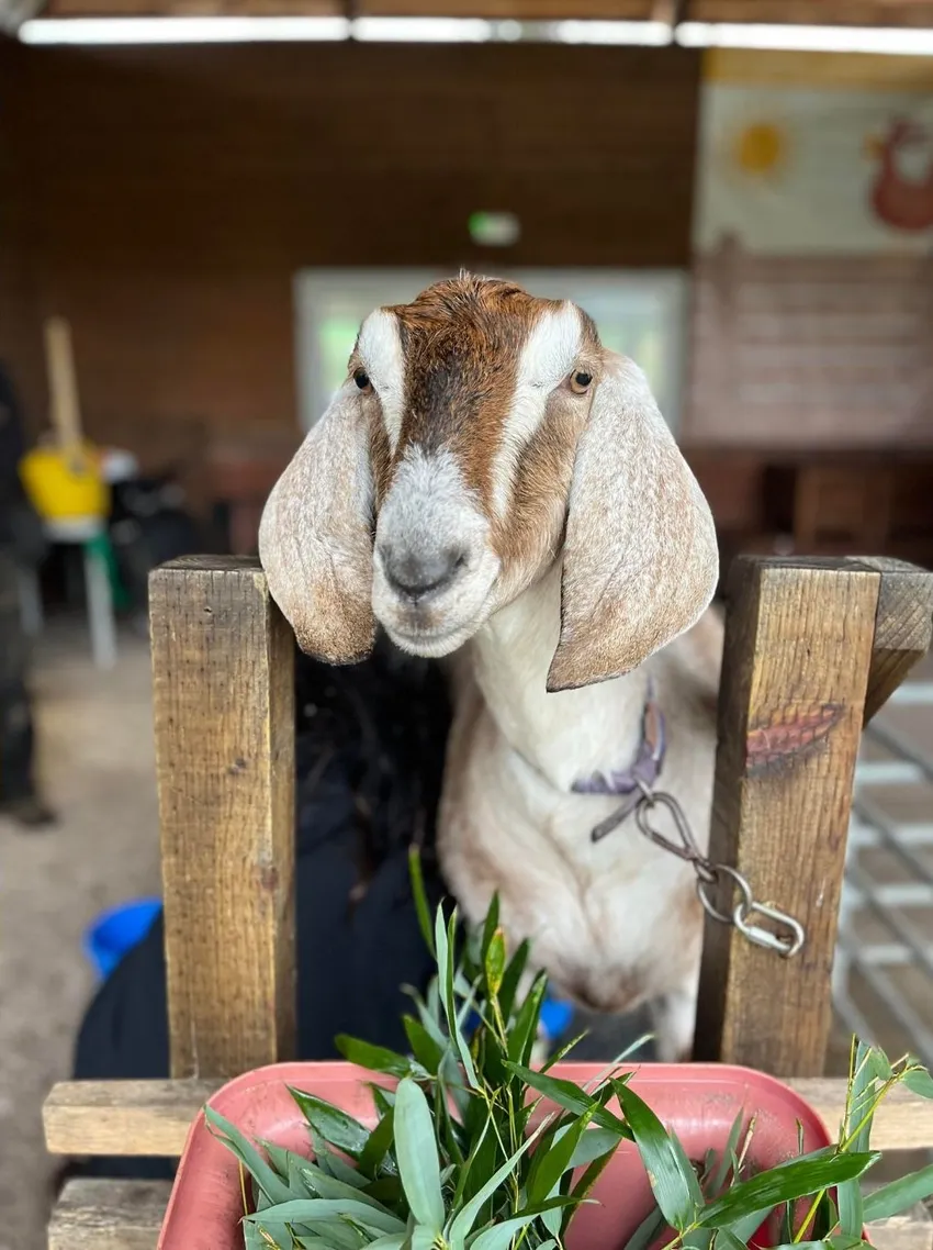 A free-to-enter community space, open 7 days a week