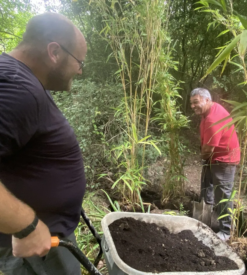Bamboo Planting