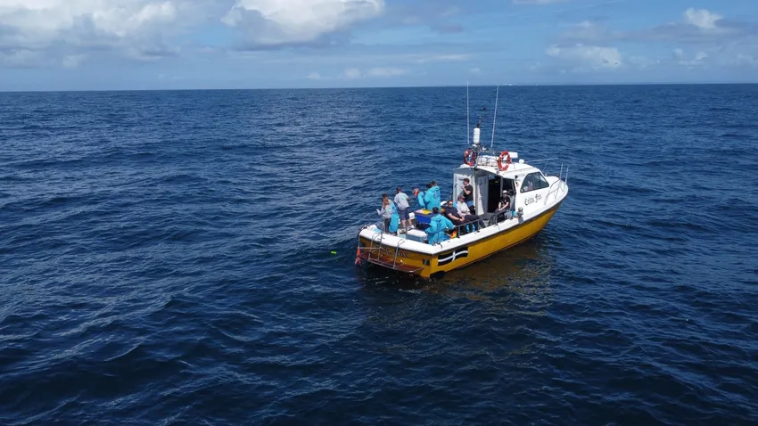Blue shark research days