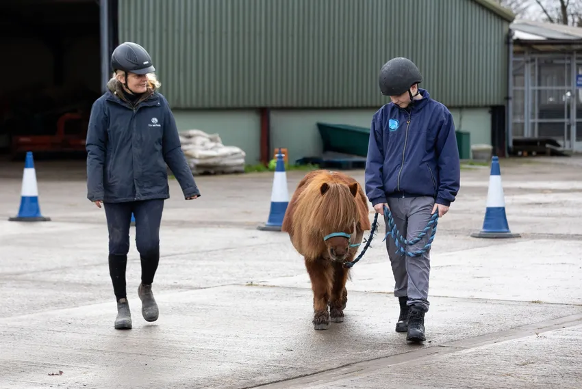 teenage boy leading small pony with facilitator watching. horse teaching