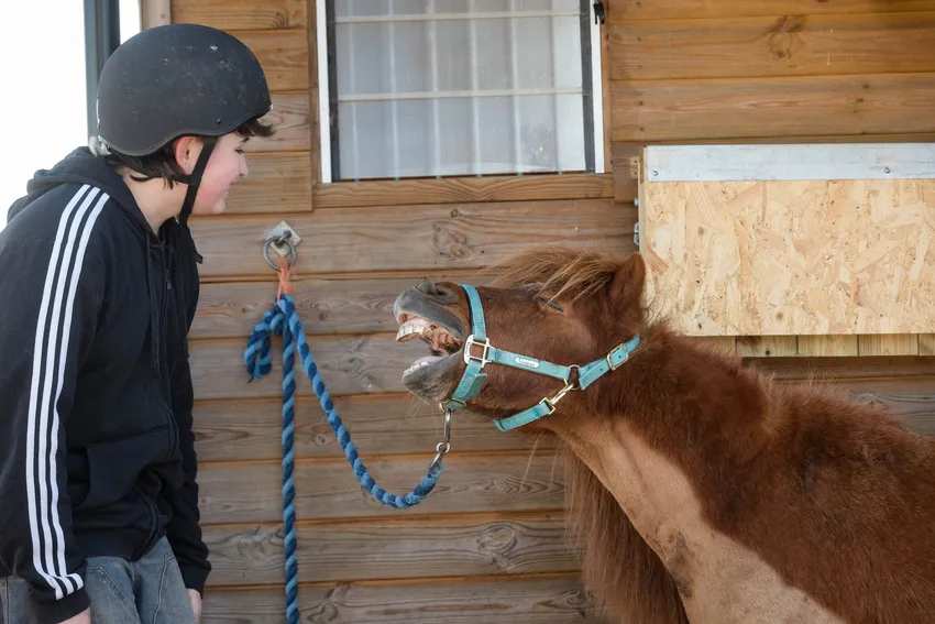 young teenager with small shetland pony laughing horse teachers