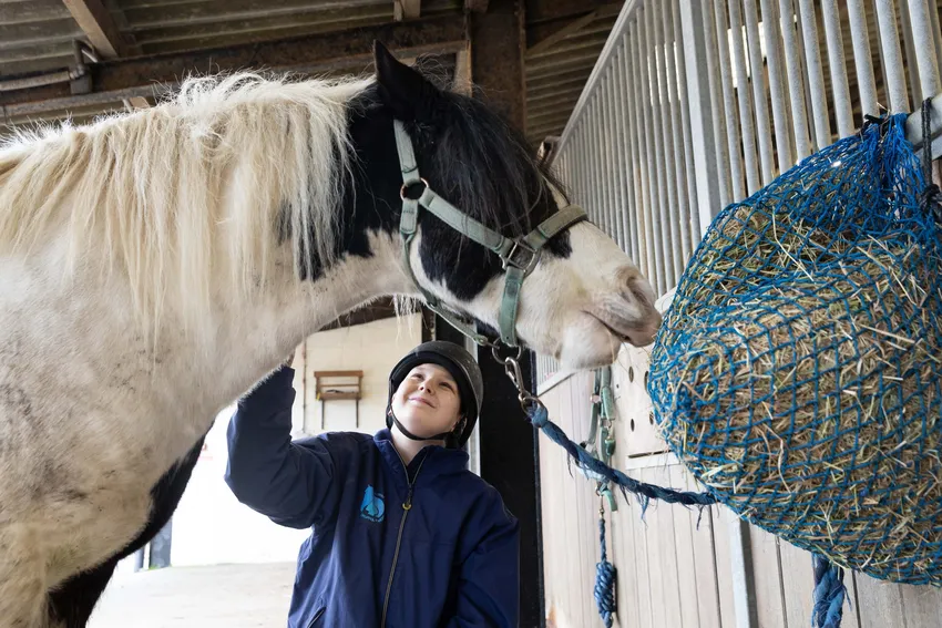 Young boy gazing at rescued horse horse teacher