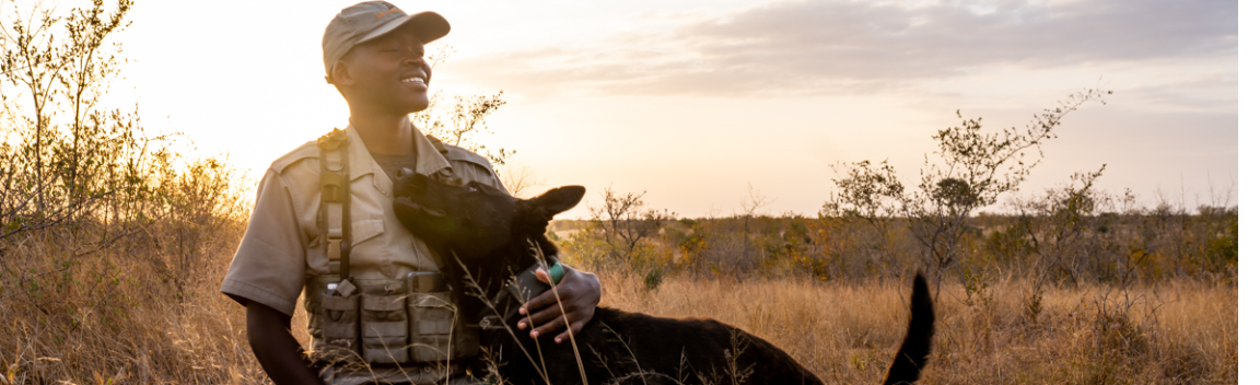 Protect Endangered Species with Ranger Support – Big Give