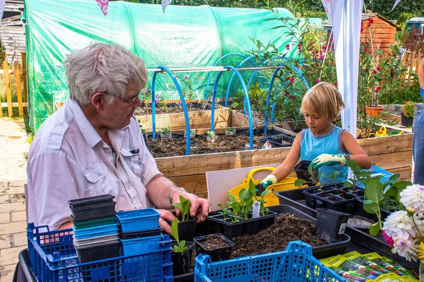 Alive Activities allotment beneficiaries