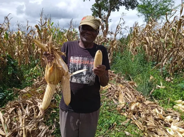 DBF Doubles Crop Yields!