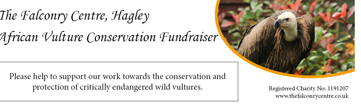 The Falconry Centre - Vulture Conservation – Big Give