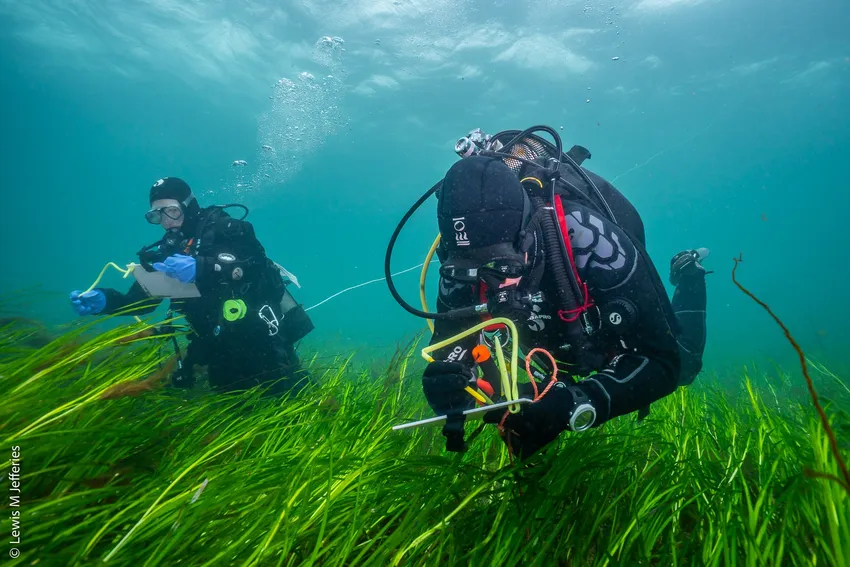 Diver-Orkney-Lewis M Jefferies-2