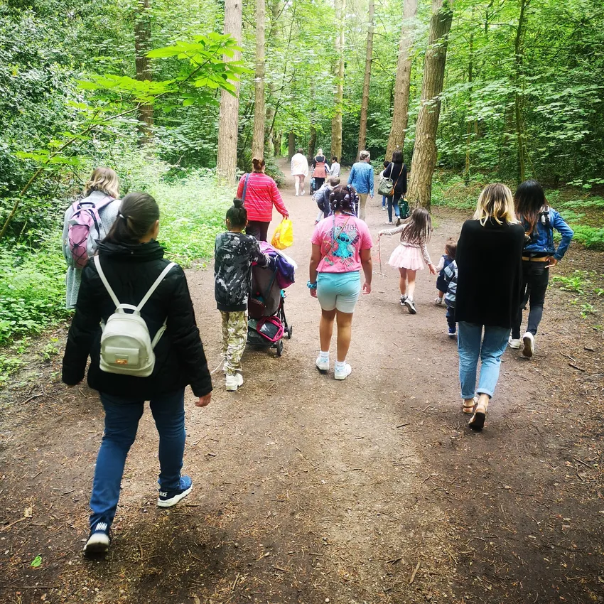 Woodland walk