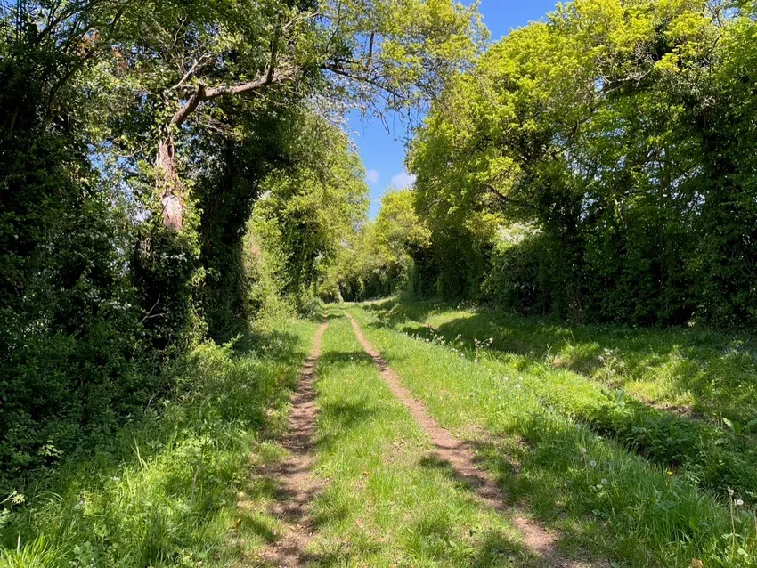 p10-Steeple Barton Walk02