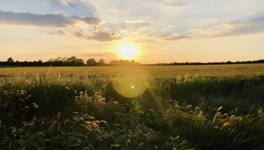 district-updates-land-behind-the-moors-crop