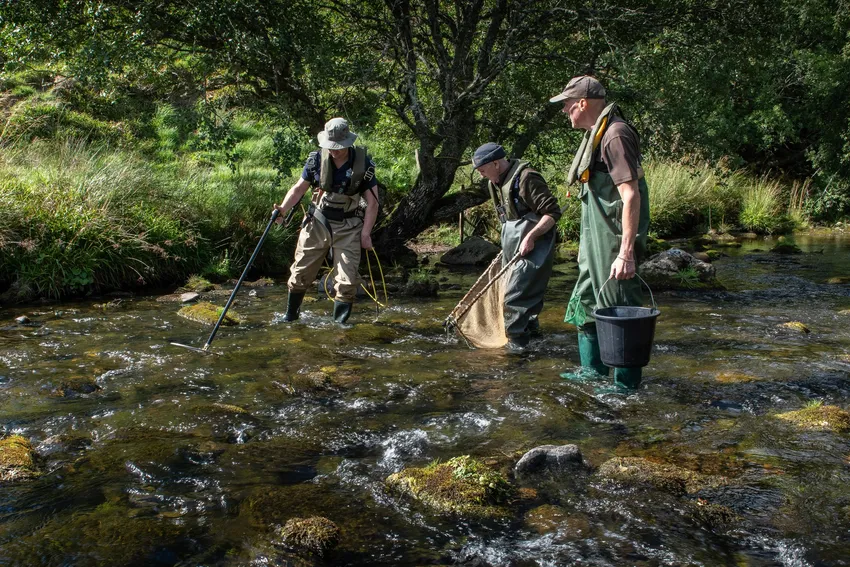 Electrofishing for our salmon parr tagging and tracking programme.