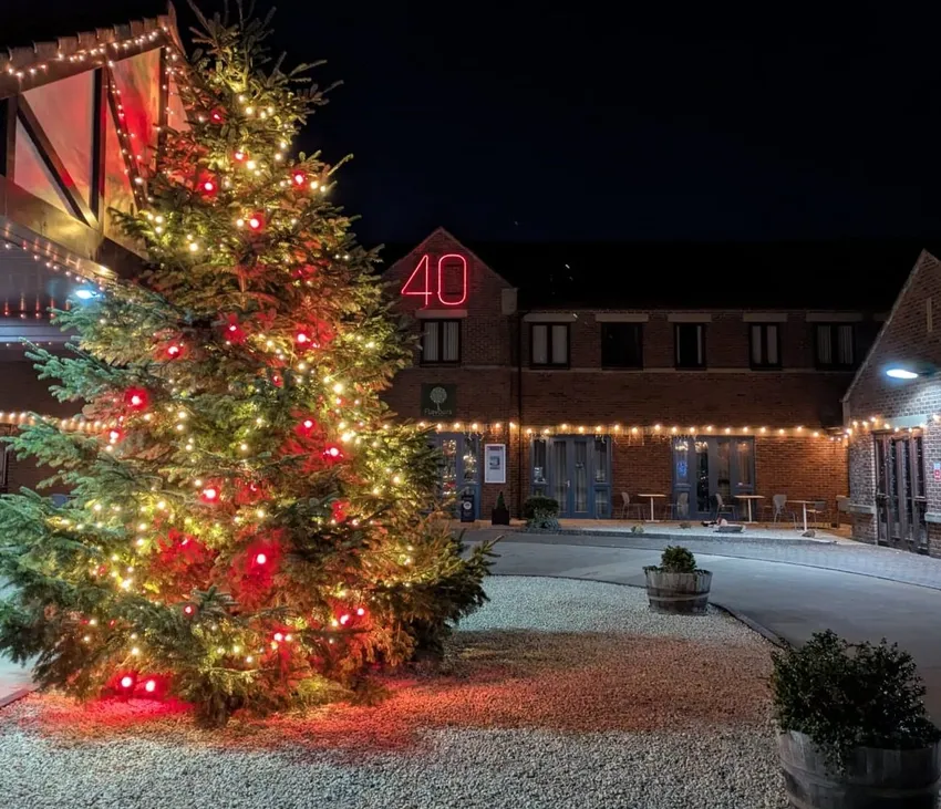 Christmas tree 40 wide pic