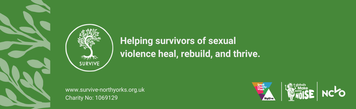 Supporting survivors of sexual violence & abuse – Big Give