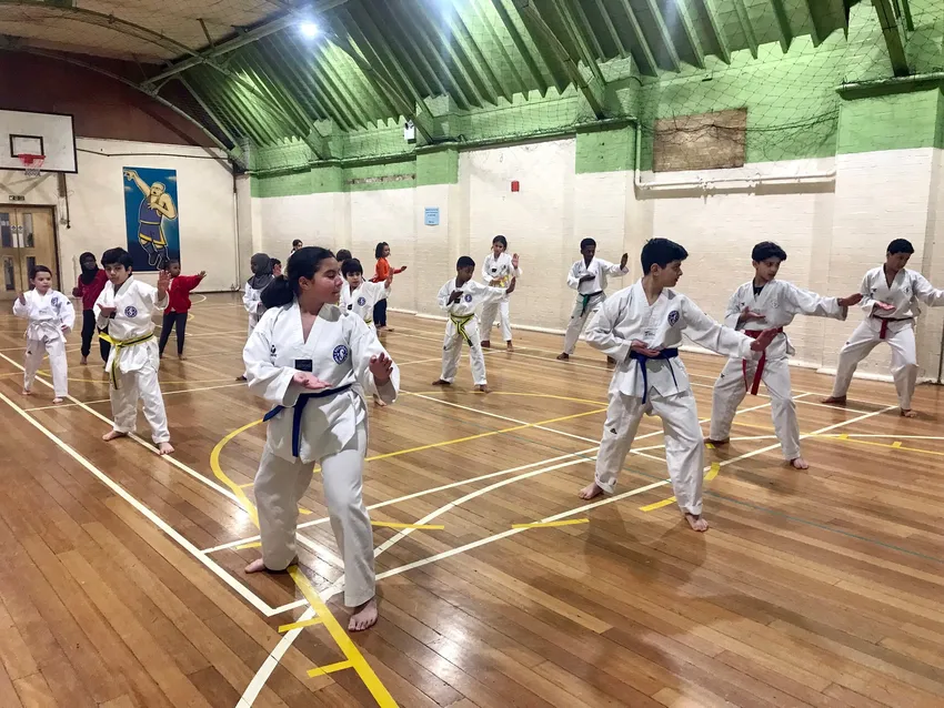 Taekwondo classes