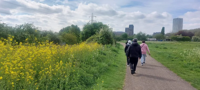 Walking