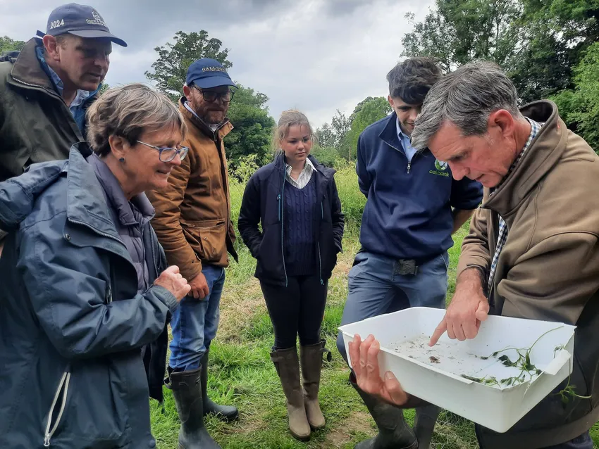 Community group sampling invertebrates