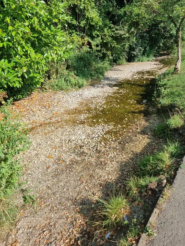 River Ems dries to a trickle
