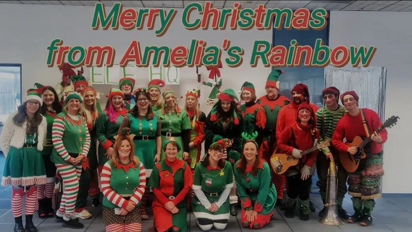 Amelia's Elves