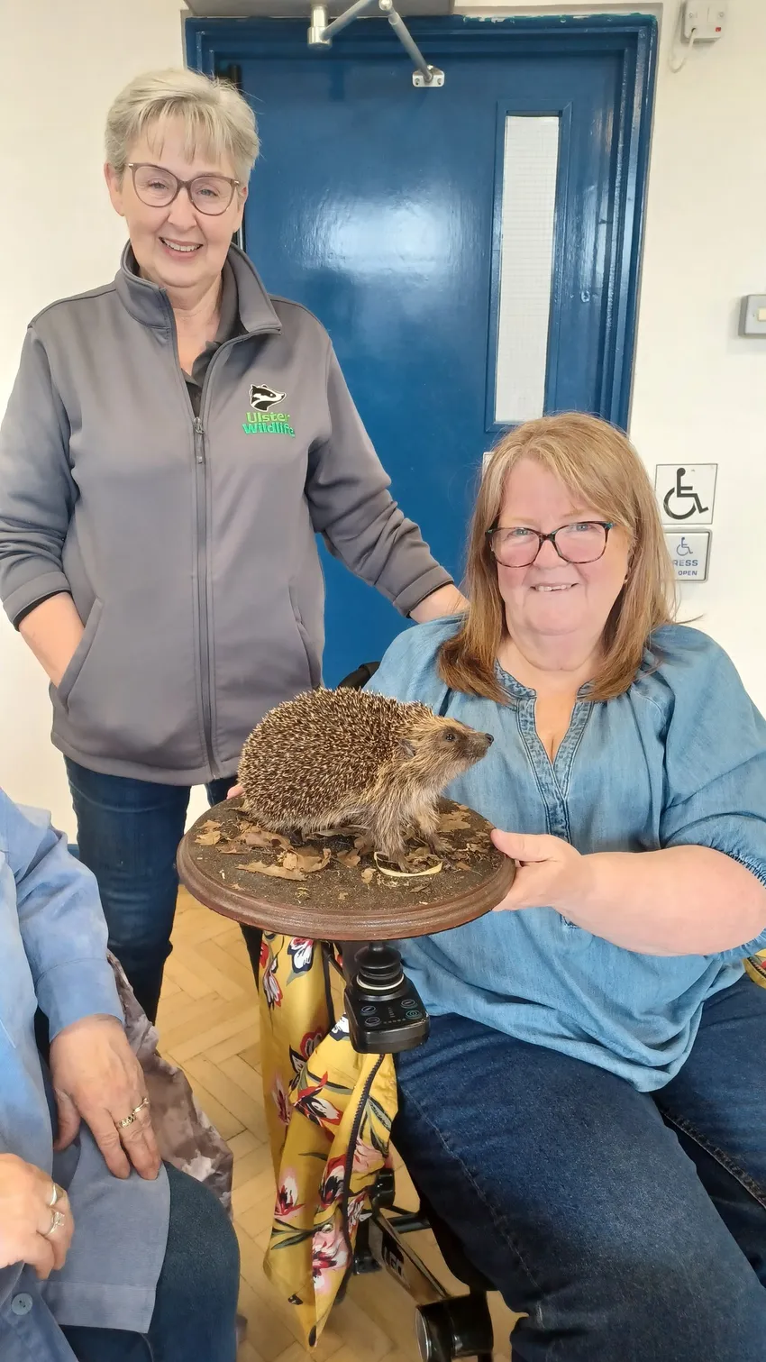 Lady with hedgehog