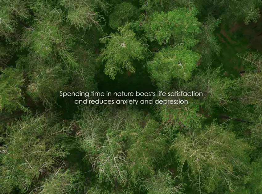 Screenshot spending time in nature Crowdfunder June 26