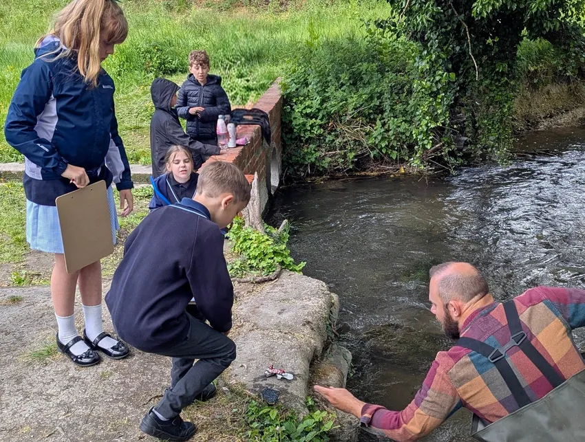 Teaching kids about the brook