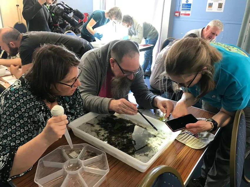 Riverfly monitoring training